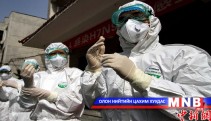 Шувууны H7N9 вирус илэрчээ 