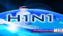    Баян-өлгий аймагт H1N1 вирус илэрлээ 