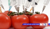 Хувиргасан амьд организм гэж юу вэ?