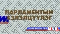 Парламентын хэлэлцүүлэг /2014-01-11/