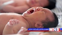      2013 онд Баянхонгор аймагт 2308 эх амаржжээ