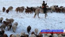 Мянгат малчны тоо өссөөр байна