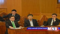 МАН-ын бүлэг ажлаа тайлагналаа