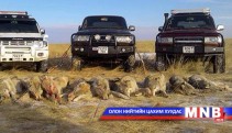  Амьтан, ургамлын хууль бус худалдаа дэлхий нийтийн анхааралд орлоо