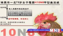  Шувууны томуугийн шинэ вирус илэрлээ 