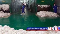 Хятад ченжүүд нэг хувийн татвар төлж, ноолуур гаргадаг 