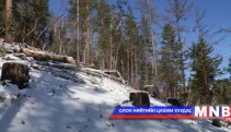 Модны гарал үүслийн бичгийг орон нутагт нь олгоно  