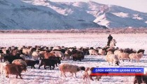 Залуу малчдын зөвлөлгөөн болно