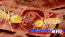 Морин шоргоолжууд 65 мянган юаниар найрлажээ