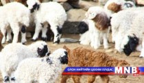 Улаанбадрах сумд үүсээд буй асуудалд гишүүд хэрхэн анхаарч байна вэ? 