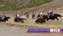 “Сарлагийн баяр” Өндөр-Хясаад болно 