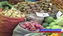 Шинэ ургацын ногоонд хяналт тавьж байна