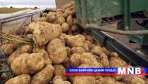 Төмс боловсруулах үйлдвэр барина