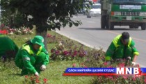 Нийслэлийн цэцэрлэгчид Япон Улсад мэргэжил дээшлүүлнэ