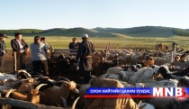 24 өрхийг малжуулжээ