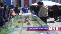 Төрийн байгууллагуудын ажлаа тайлагнах үйл ажиллагаа сайжирсан гэв