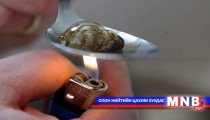 Цагаан тахлын хар сүүдрээс хойч үеэ халхлах цаг болжээ