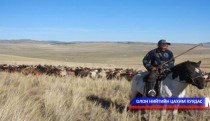 Малчид даатгалын шимтгэл төлөөгүй бол нөхөн төлөх боломж бүрдэнэ