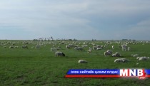 Mongolia to welcome wind farm