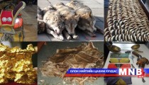 ГЕГ-ын илрүүлсэн 74 зөрчилд хэрэг үүсгэн шалгаж байна