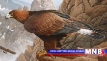 Амьтны ертөнц: Өвөлждөг шувууд...