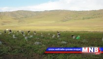 Завханчууд ургацаа хадгалах зоорьгүй байна