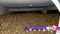 Япон улсын технологийн зоорь ашиглалтад орлоо