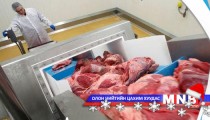 Мянга гаруй иргэн ажлын байртай боллоо