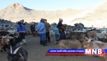 Улсын мал эмнэлгийн газар байгуулах нь зөв