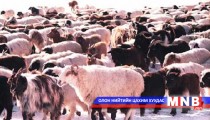Булган сум 310 мянган тонн хадлангийн нөөцтэй 