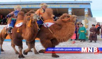 Баянцагаанчууд “Тэмээний баяр”-аа тэмдэглэж байна