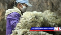 Ноосны урамшуулал үр дүнгээ өгч байна гэж үзжээ 