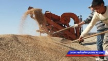 Тариаланчдын урамшууллыг өнөөдрөөс олгож эхэлнэ