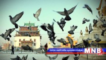 Гандангийн тагтаа нүүгээд дуусч байна