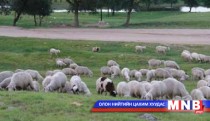 Нийслэл орчмын бэлчээрийн менежментийг сайжруулах  ажлын хэсэг байгууллаа