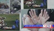 Боом аюултай халдварт өвчин мөн 