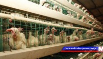 Нийслэлээс олгож буй ЖДҮ-ийн зээлд хэрхэн хамрагдах боломжтой вэ