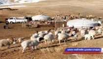 Баян-Өлгий аймагт хаваржилт сайхан байна