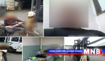Амьтан зовоосон хүнийг нэг жил хорих ялаар шийтгэнэ