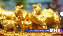 Зүүн аймгуудын хаваржилт, төл бойжуулалт