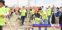 One million trees project launched in Mongolia