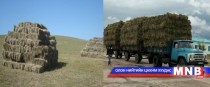 Б.Гантулга: Хадлан тэжээлээ он дамнуулж хадгалахгүй