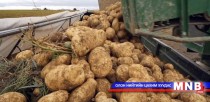 Төмс боловсруулах үйлдвэр байгуулна