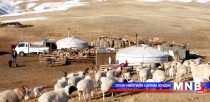 Дундговь аймагт мал төллөлт 70 гаруй хувьтай байна