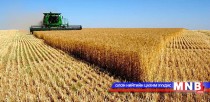 Улаанбуудайн фүчерс арилжаа хойшилжээ