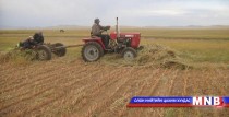 Хөвсгөл аймаг энэ жил 15 мянга орчим га-д тариалалт хийнэ 