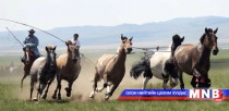 Сүүлийн жилүүдэд залуу малчдын тоо  буурчээ