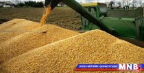 Үр тарианы чанарыг тодорхойлдог дэвшилтэт техник технологитой болохыг тариаланчид шаардлаа