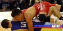 МЧБХ тамирчны виз мэдүүлэхдээ алдаа гаргаагүй гэв