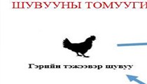 Шувууны томуу нь вирусаар үүсгэгддэг хүн, амьтны хурц халдварт өвчин  
